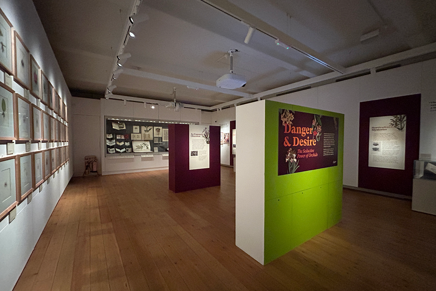 Exhibition lighting